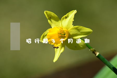 招行超3个月逾期 招行超3个月逾期