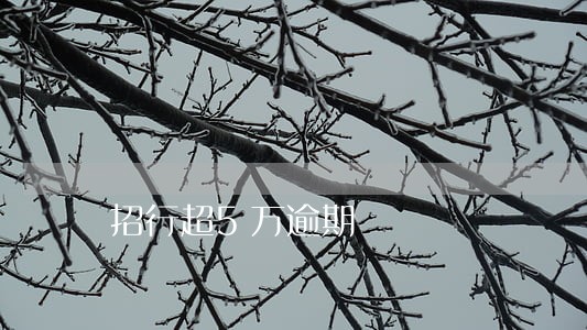 招行超5万逾期 招行超5万逾期