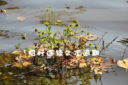 招行连续2次逾期 招行连续2次逾期