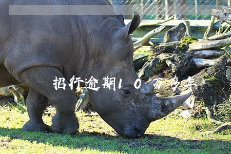 招行逾期10万多年