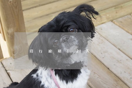 招行逾期12天 招行逾期12天