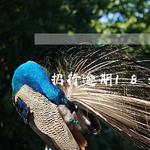 招行逾期18天 招行逾期18天