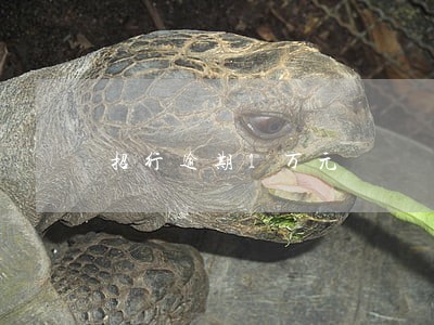 招行逾期1万元 招行逾期1万元