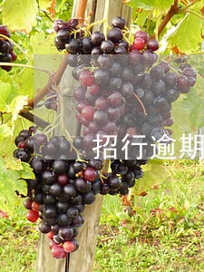 招行逾期1万怎么算利息 招行逾期1万怎么算利息