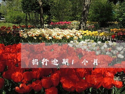 招行逾期1个月 招行逾期1个月