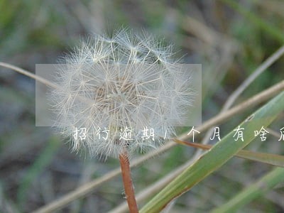招行逾期1个月有啥后果 招行逾期1个月有啥后果