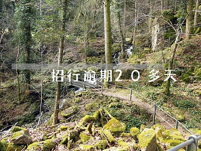 招行逾期20多天 招行逾期20多天
