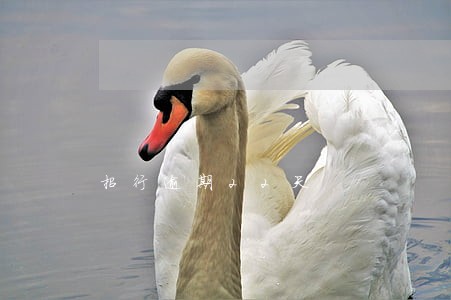 招行逾期22天 招行逾期22天