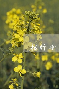 招行逾期2月被提交审核 招行逾期2月被提交审核