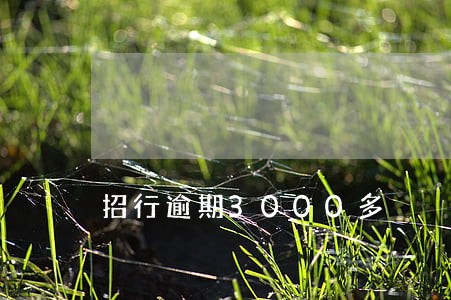 招行逾期3000多 招行逾期3000多