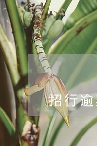 招行逾期30天 招行逾期30天