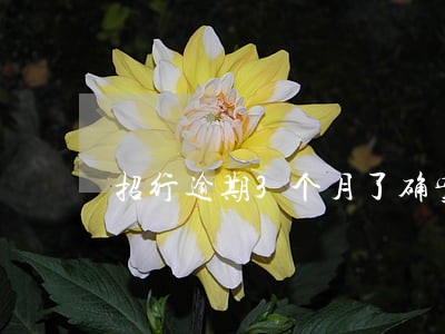 招行逾期3个月了确实没钱还 招行逾期3个月了确实没钱还