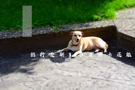 招行逾期3个月停卡还能恢复吗 招行逾期3个月停卡还能恢复吗