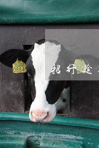 招行逾期3个月协商还本金 招行逾期3个月协商还本金