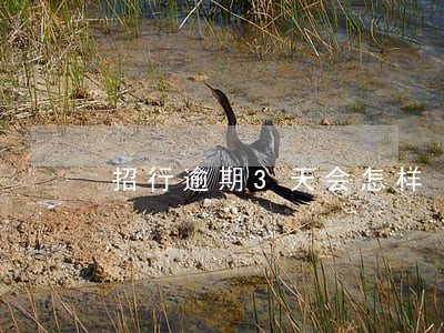 招行逾期3天会怎样 招行逾期3天会怎样
