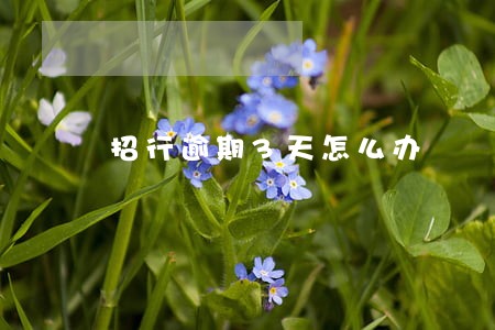 招行逾期3天怎么办 招行逾期3天怎么办