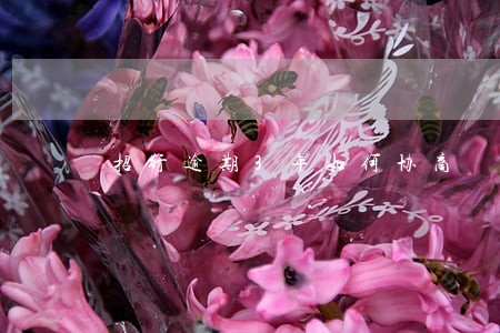 招行逾期3年如何协商 招行逾期3年如何协商