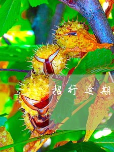 招行逾期3年已经是呆账了吗 招行逾期3年已经是呆账了吗