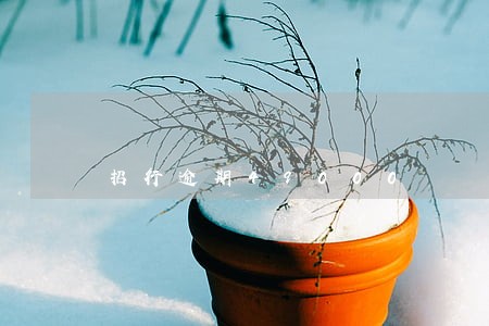 招行逾期49000