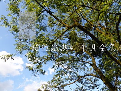 招行逾期4个月会怎么样 招行逾期4个月会怎么样