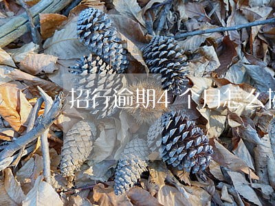 招行逾期4个月怎么协商 招行逾期4个月怎么协商