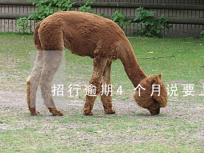 招行逾期4个月说要上门 招行逾期4个月说要上门
