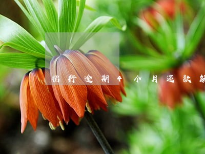 招行逾期4个月还款解冻 招行逾期4个月还款解冻