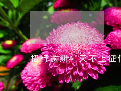招行逾期4天不上征信 招行逾期4天不上征信