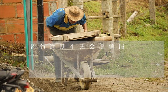 招行逾期4天会上信报 招行逾期4天会上信报
