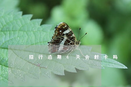招行逾期4天会封卡吗