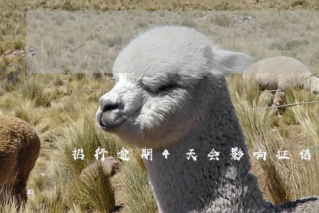 招行逾期4天会影响征信吗 招行逾期4天会影响征信吗