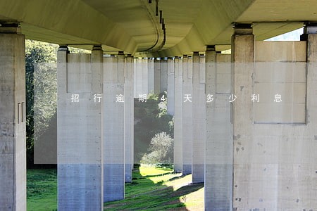 招行逾期4天多少利息 招行逾期4天多少利息