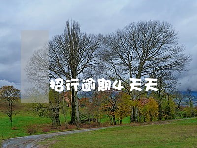 招行逾期4天天 招行逾期4天天