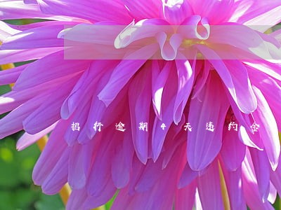 招行逾期4天违约金
