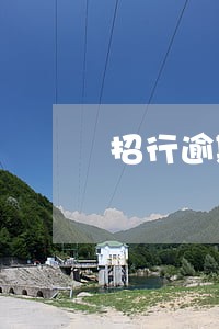 招行逾期4次