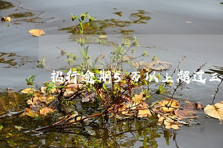 招行逾期5万以上超过三个月 招行逾期5万以上超过三个月