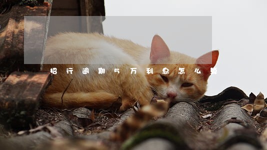 招行逾期5万利息怎么算 招行逾期5万利息怎么算