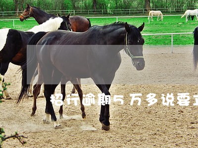 招行逾期5万多说要立案逮捕 招行逾期5万多说要立案逮捕