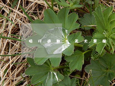 招行逾期5天大黑屋 招行逾期5天大黑屋