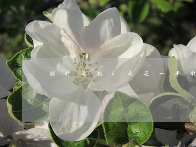 招行逾期5天还一半能取吗 招行逾期5天还一半能取吗