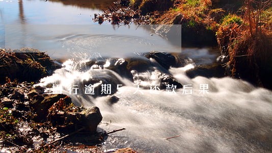 招行逾期5天还款后果
