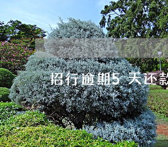 招行逾期5天还款征信 招行逾期5天还款征信