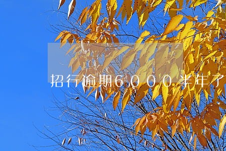 招行逾期6000半年了 招行逾期6000半年了