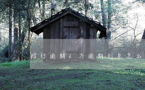 招行逾期6万逾期利息怎么算 招行逾期6万逾期利息怎么算