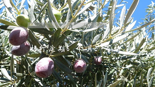 招行逾期6个月2万块 招行逾期6个月2万块