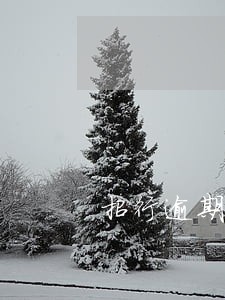 招行逾期6个月了
