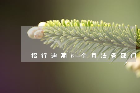 招行逾期6个月法务部门说上门 招行逾期6个月法务部门说上门