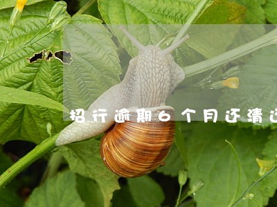 招行逾期6个月还清还能用吗 招行逾期6个月还清还能用吗