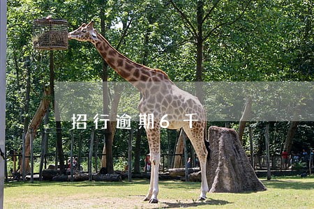 招行逾期6千