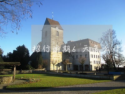 招行逾期6天怎么计算 招行逾期6天怎么计算